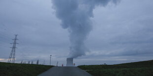 eine Straße, an deren Ende ein Atomkraftwerk zu sehen ist