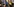 Zahlreiche Mikrofone bei einem Interview