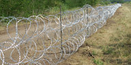 Stacheldrahtzaun an der ungarisch-serbischen Grenze