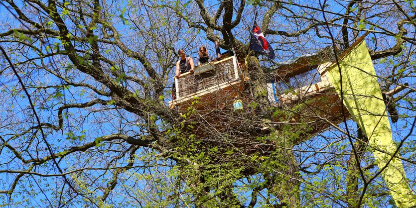 Ein Baumhaus im Hambacher Forst.