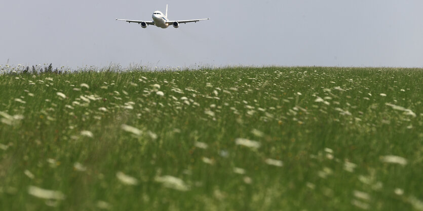 Ein Flugzeug über einer Wiese