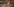 Blick in einen Fanblock mit einem großen Transparent, auf dem „Kölle Alaaf“ steht
