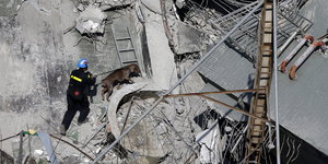 Ein Mann mit Helm hält einen Hund an der Leine, der an den Trümmern eines Hauses schnüffelt.