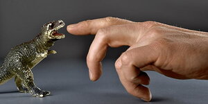 Ein Spielzeugdinosaurier mit aufgerissenem Maul steht vor einer männlichen Hand