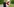 Der grüne Verkehrsminister Hermann steht an einer Landstraße und befestigt einen Leitpfosten.