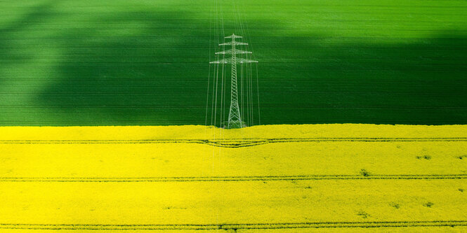 Der Mast einer Hochspannungsleitung steht zwischen einem gelbem Rapsfeld und einem angrenzenden grünen Feld