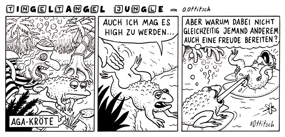 tom des tages