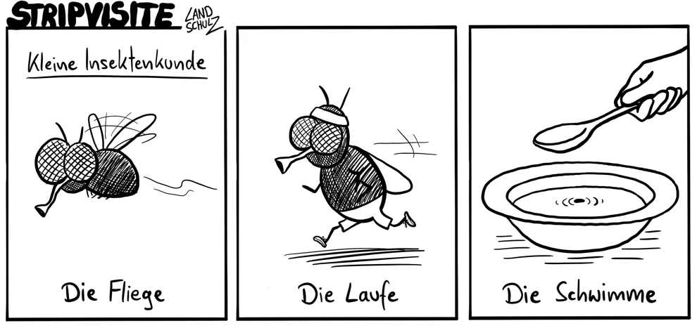tom des tages