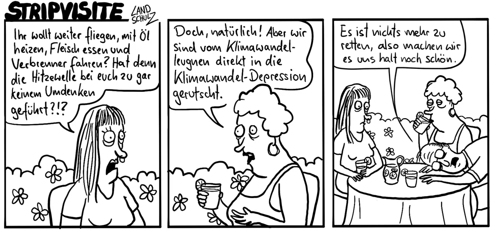 tom des tages